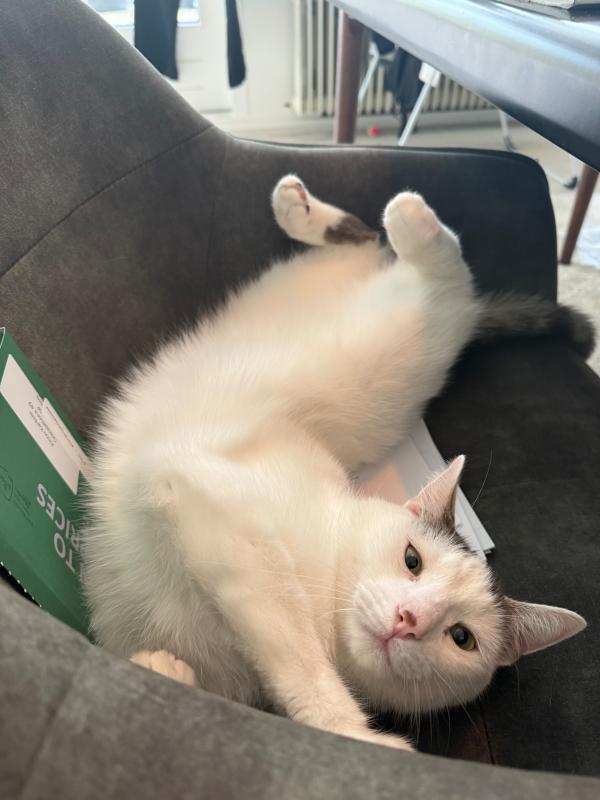 Marley