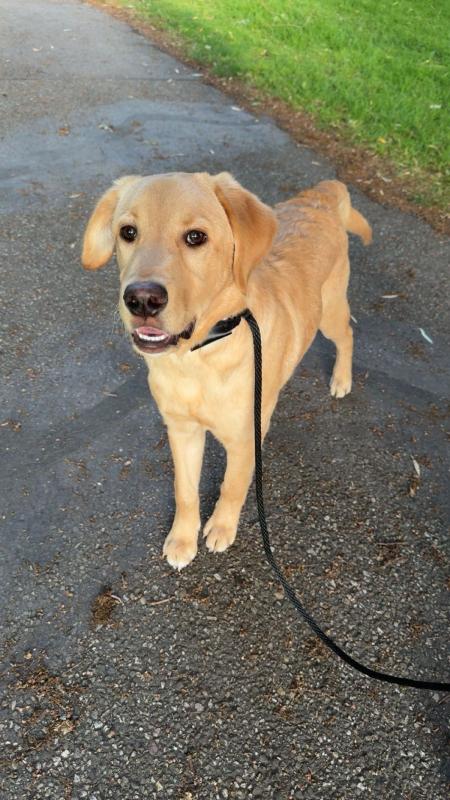 Bailey
