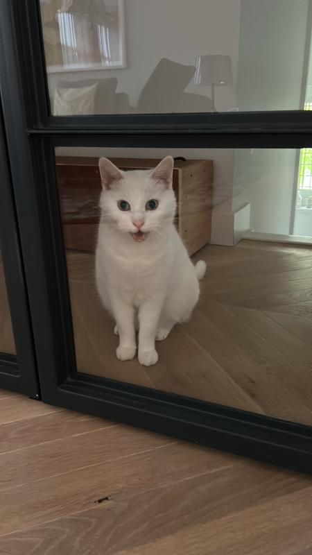 Joep
