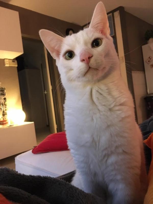 Bob