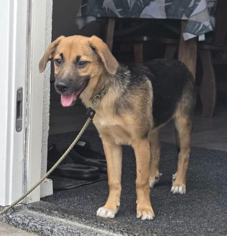 Jezzy