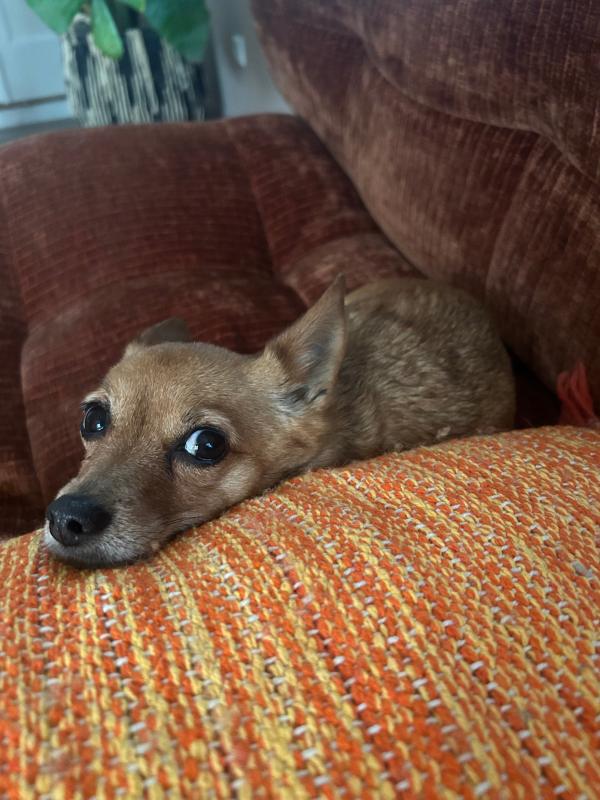 Bella