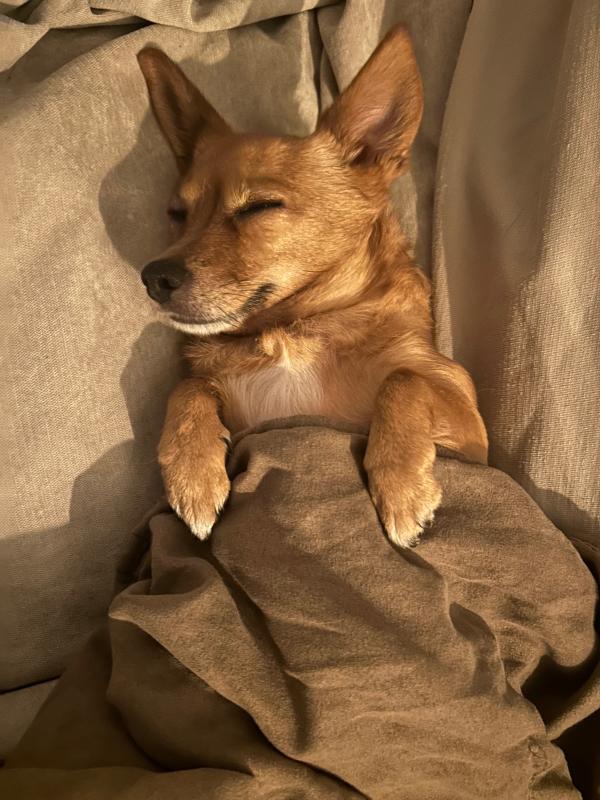 Bella