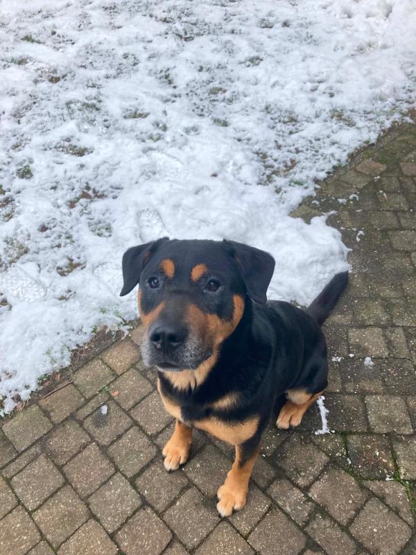 Max