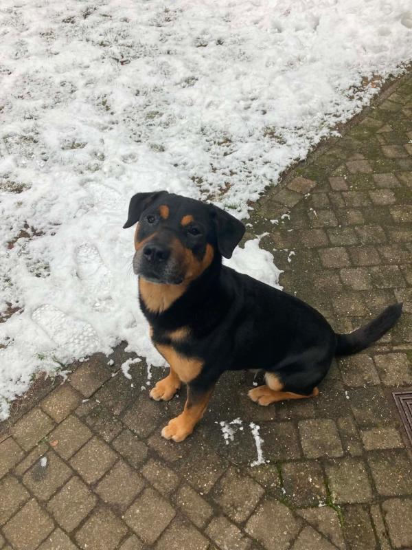 Max