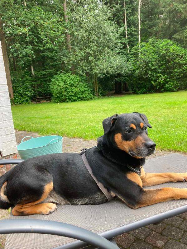 Max