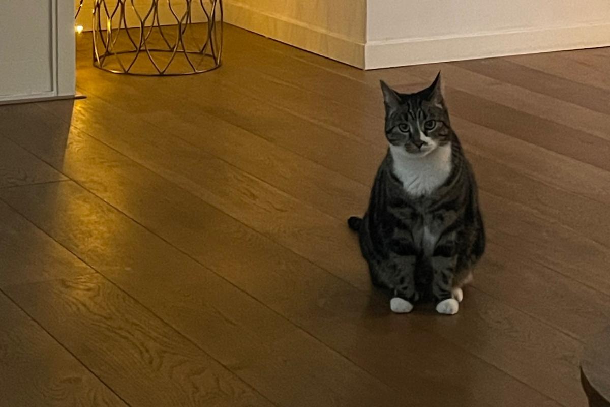 Jack