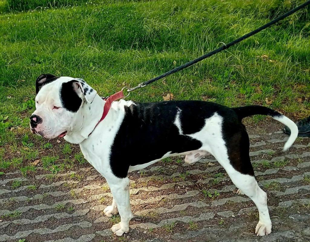 Max