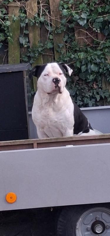Max