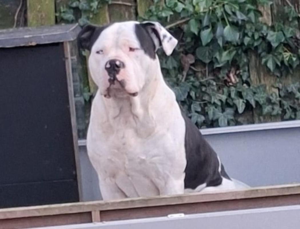 Max