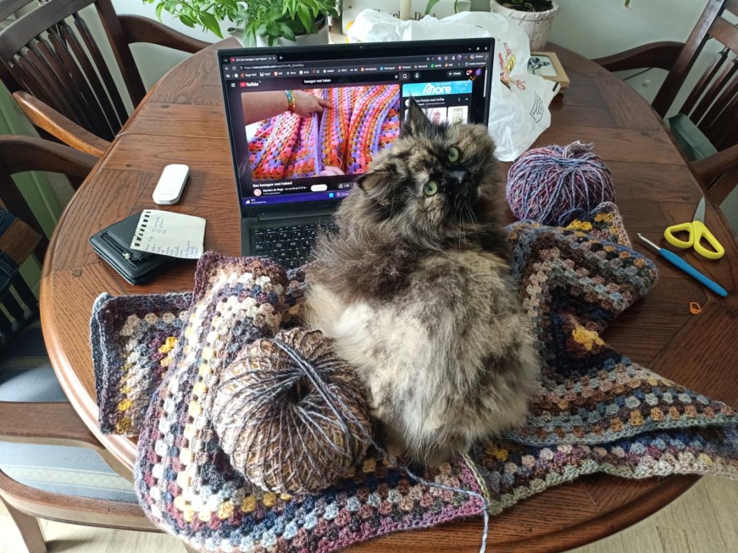 Diva