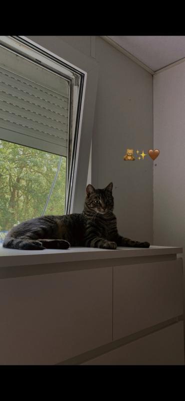 Peppie