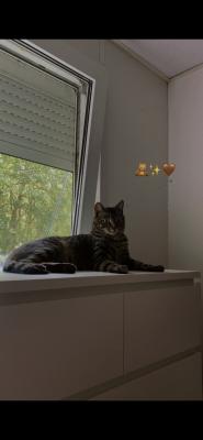 Peppie