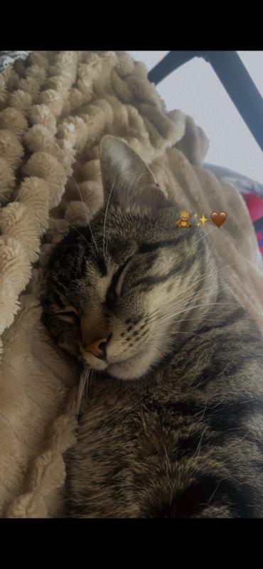 Peppie