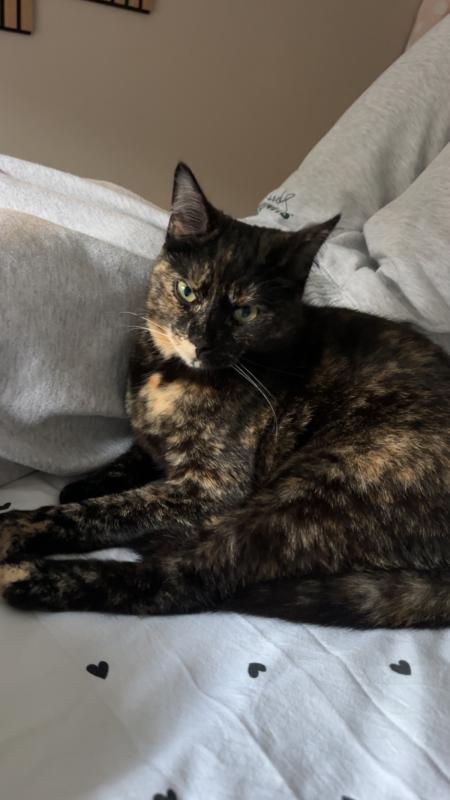 Nala