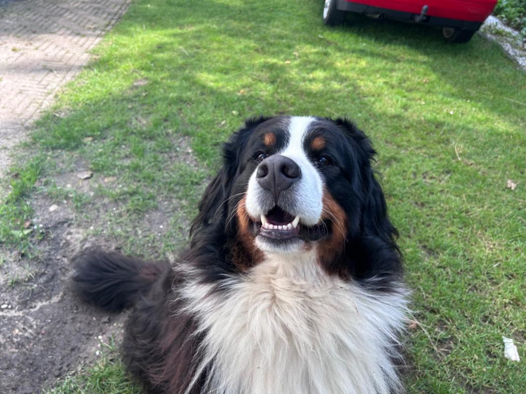 Loetje