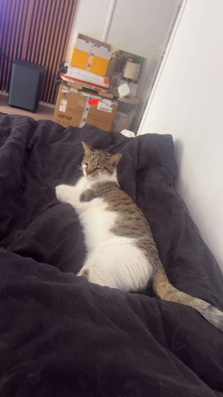 Coco