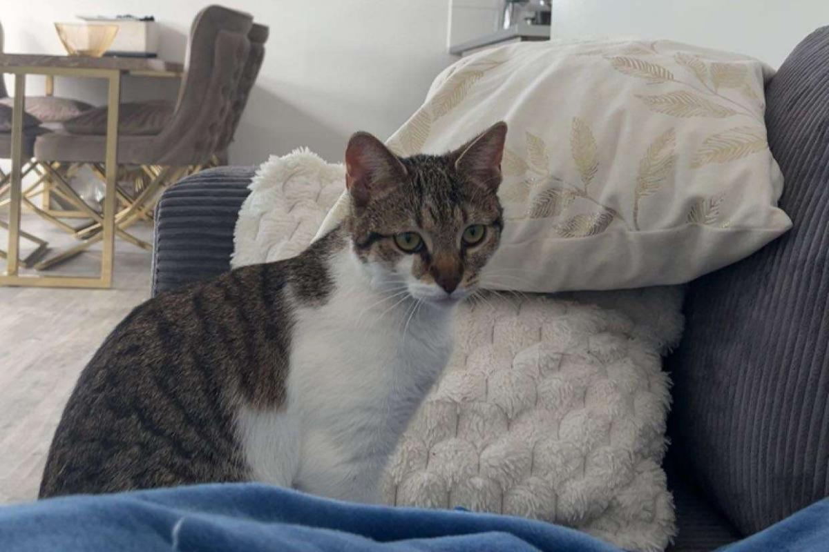Coco