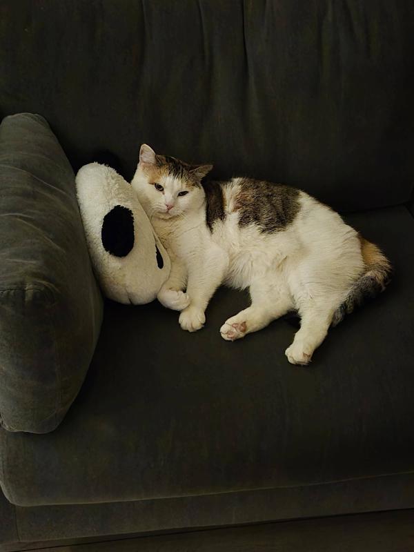 Nala