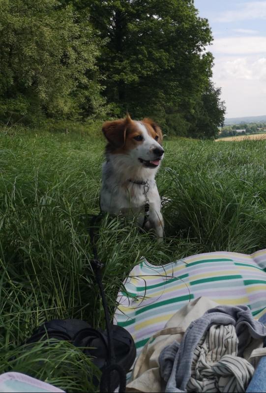 Eddie