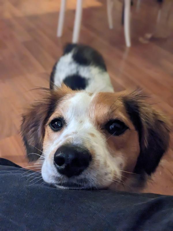 Eddie