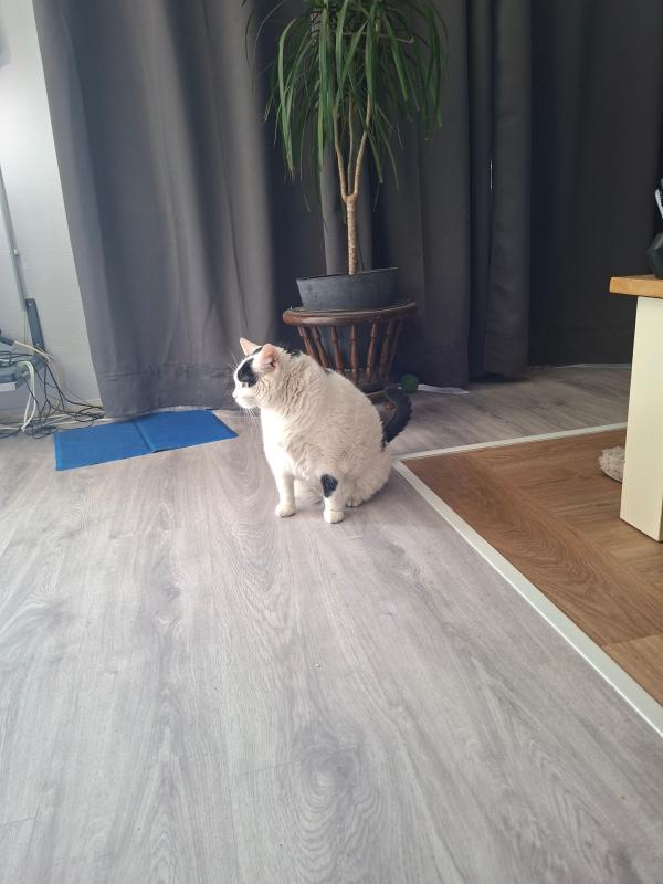 Poetty