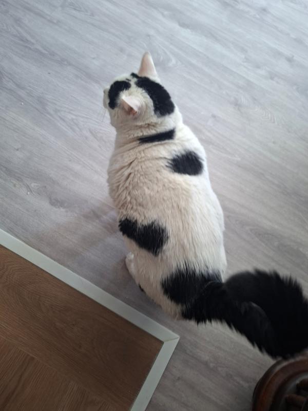 Poetty