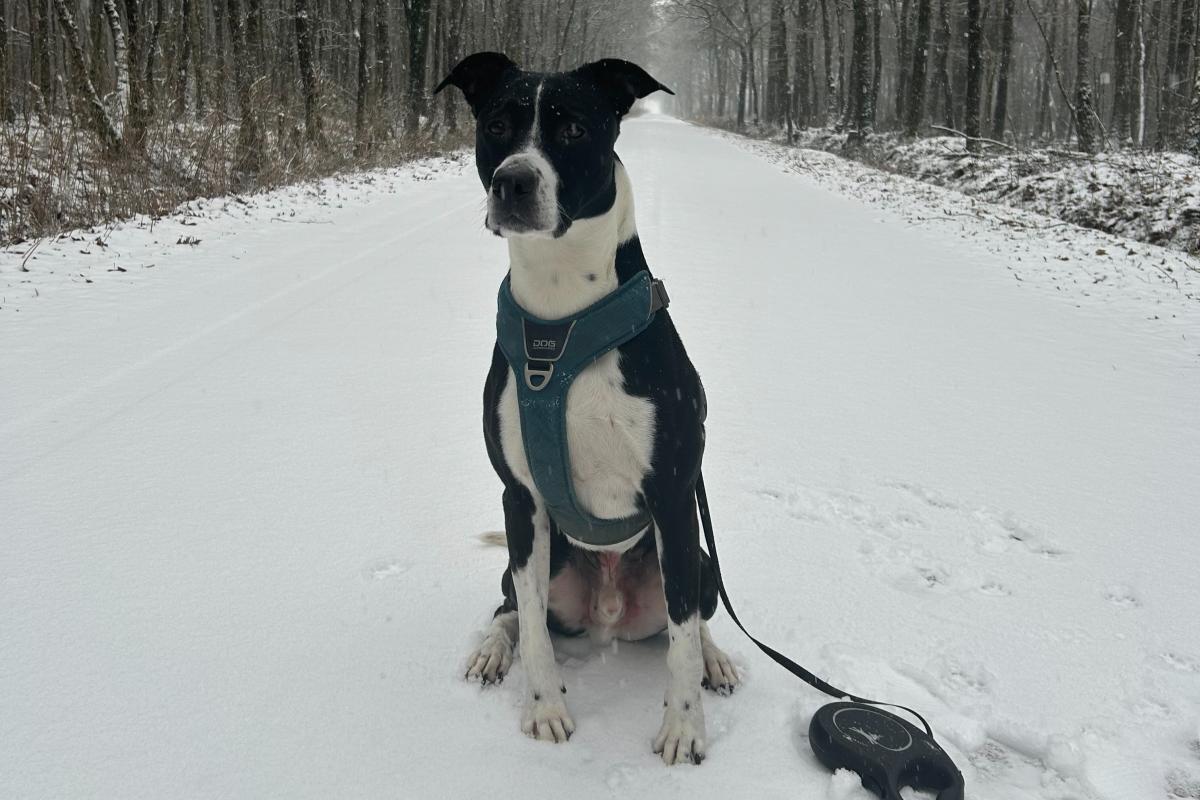 Max