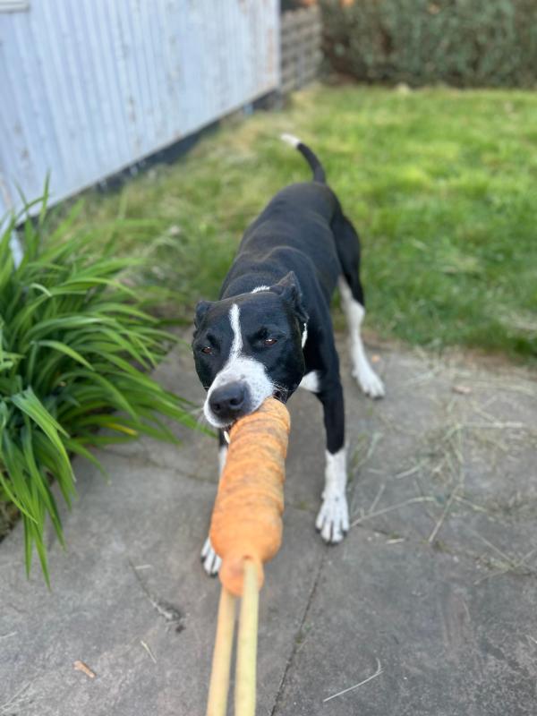 Max