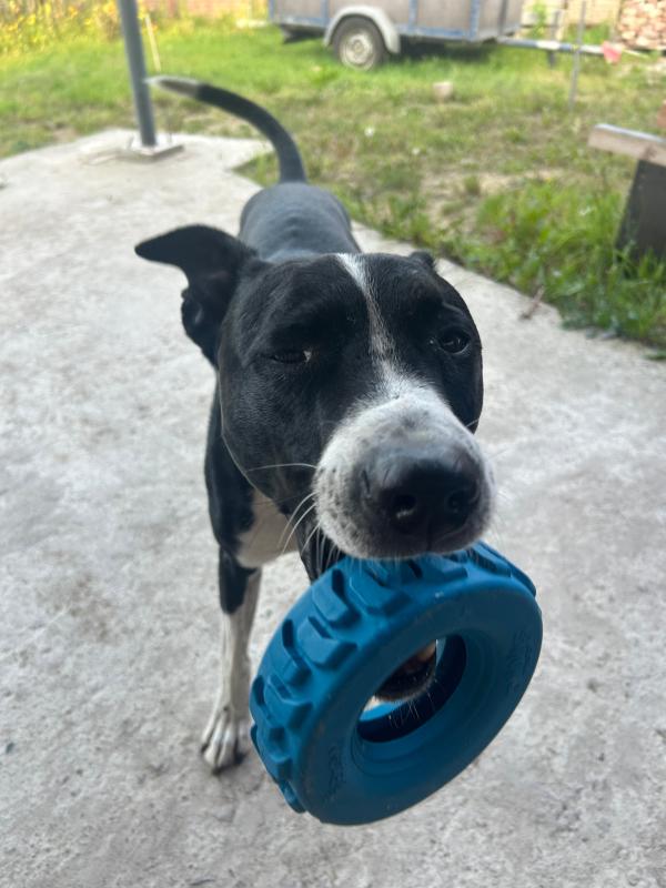Max