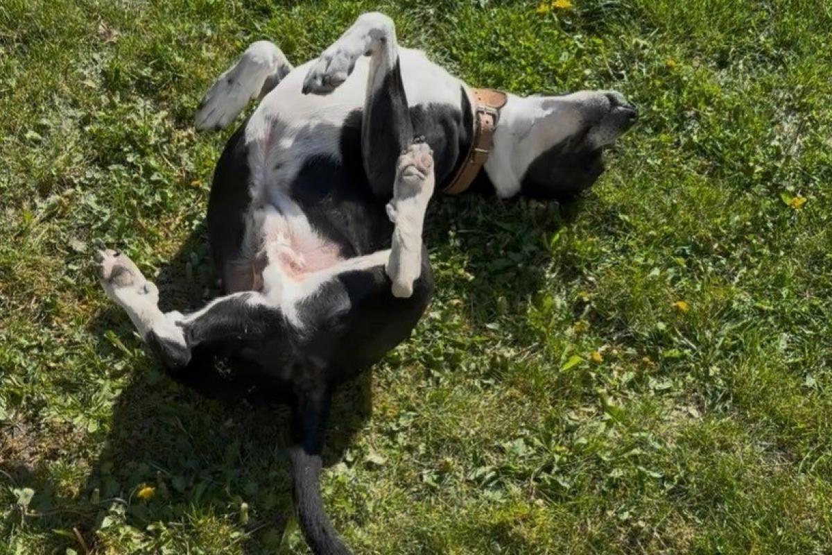 Max