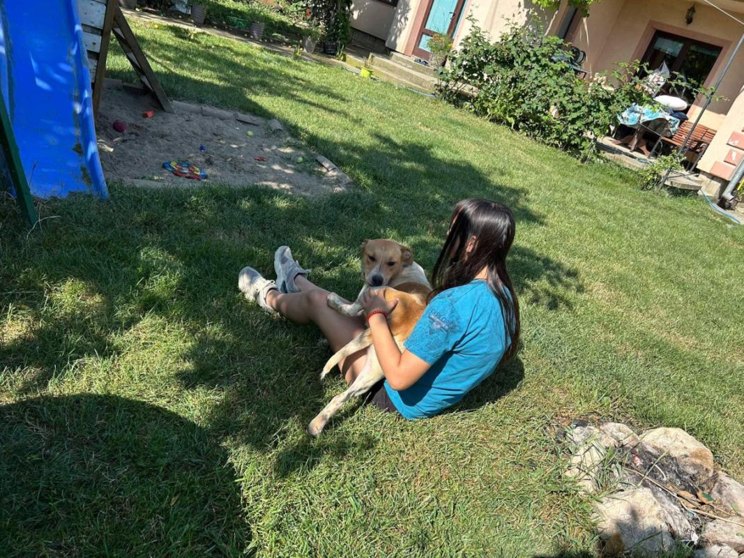 Ruti