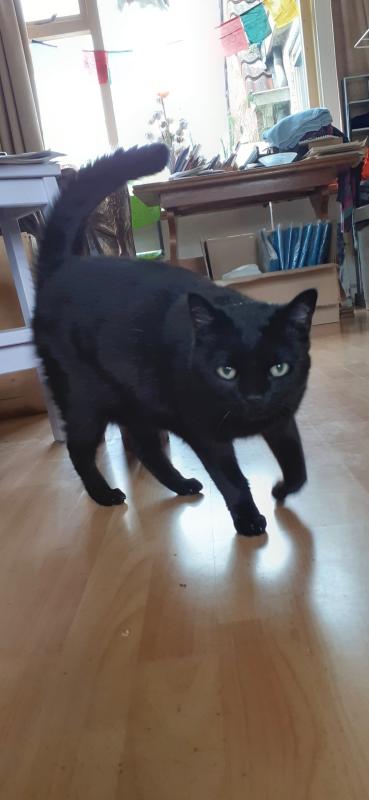 Luna