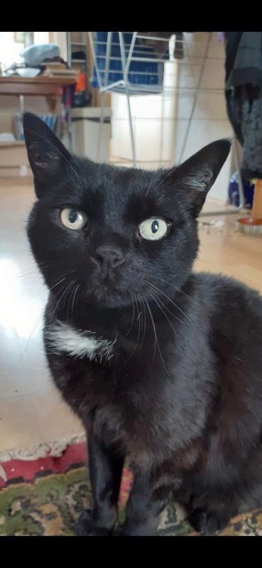Luna