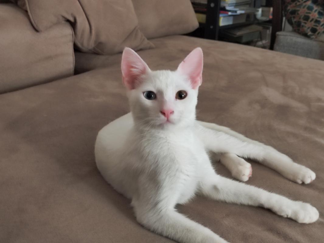 Lucien