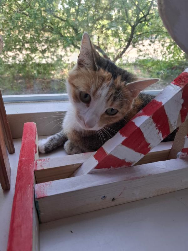 Coco