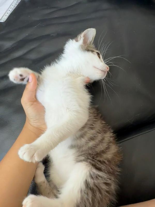Tina