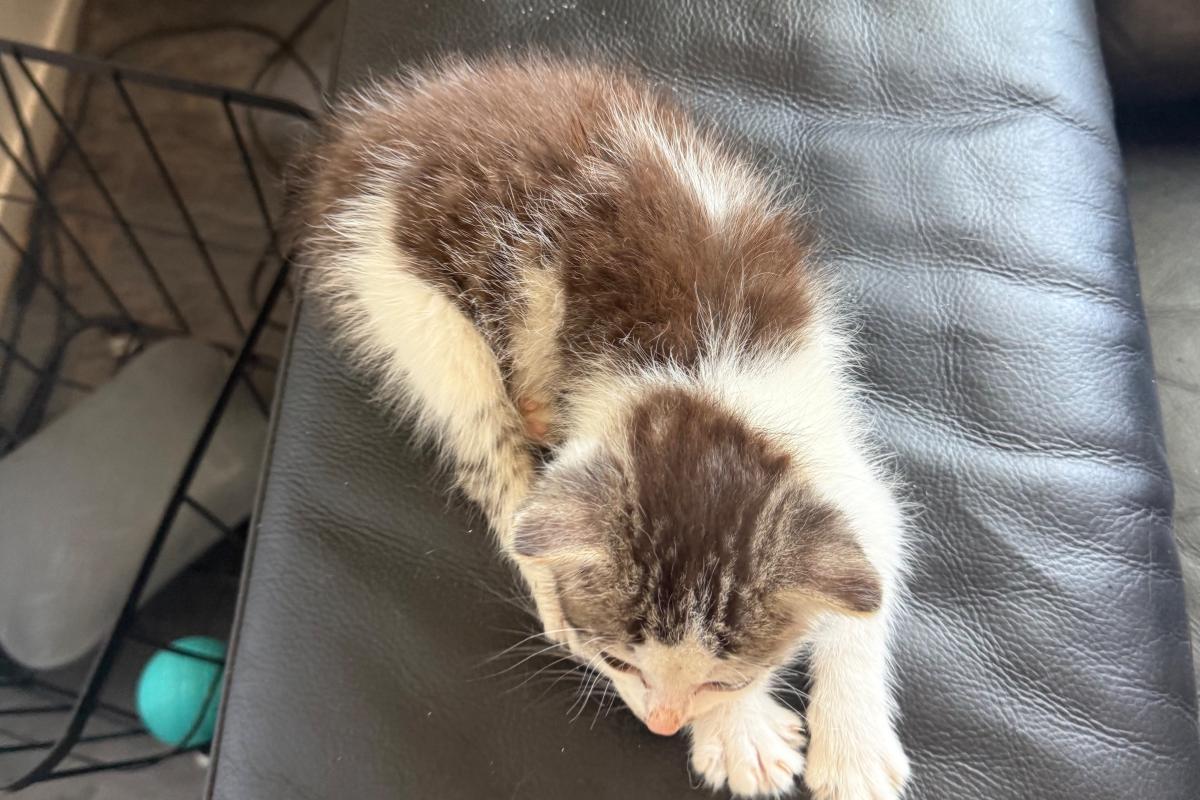 Tina