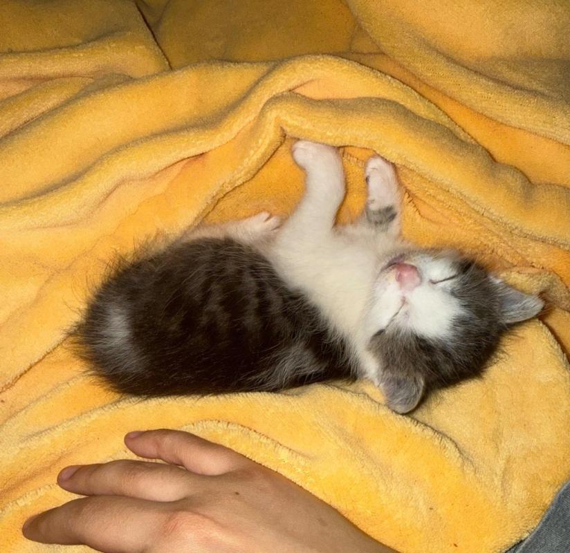 Tina