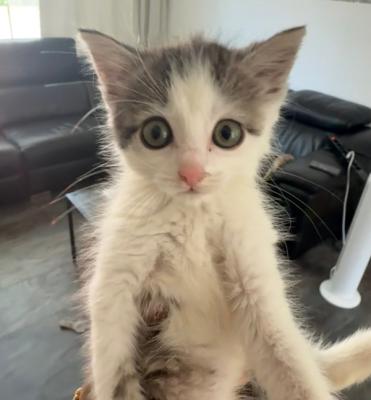 Tina