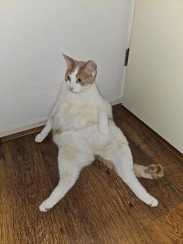 Jax