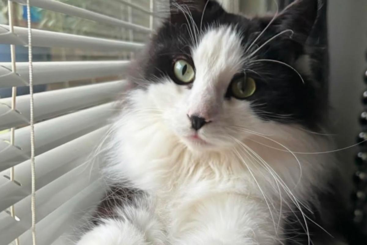 Pablo