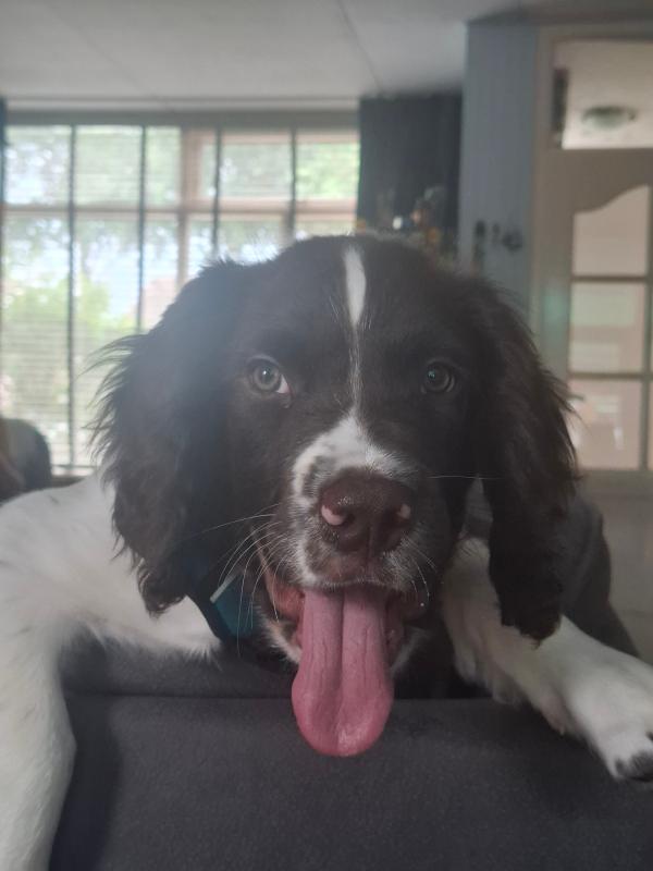 Sammy