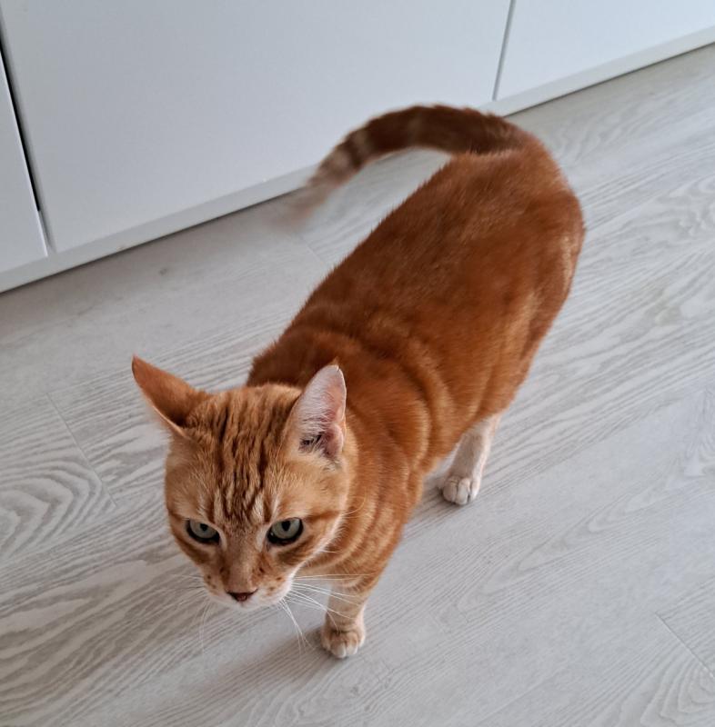 Twix