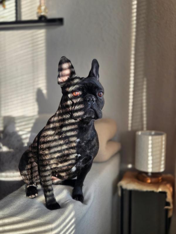 Diva