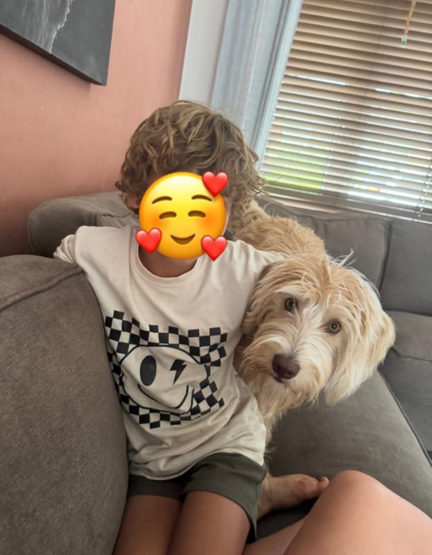Teddy