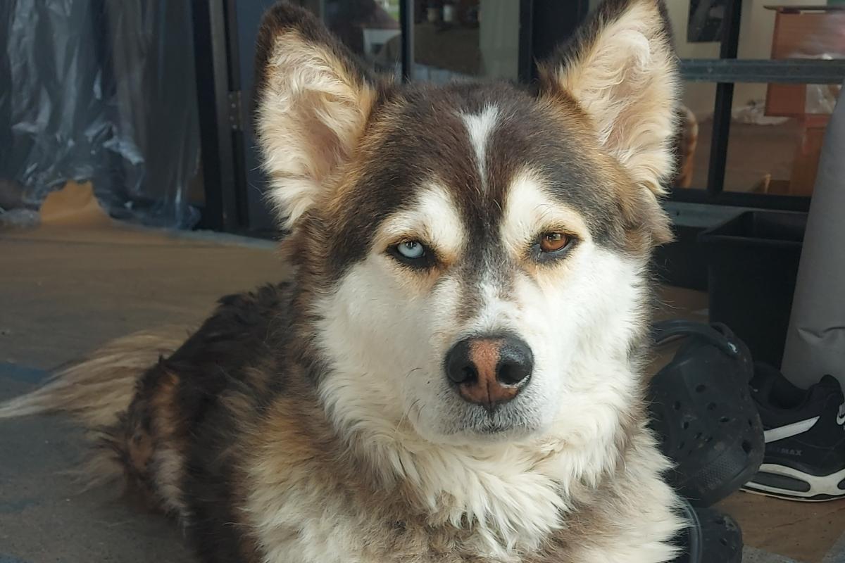 Pablo