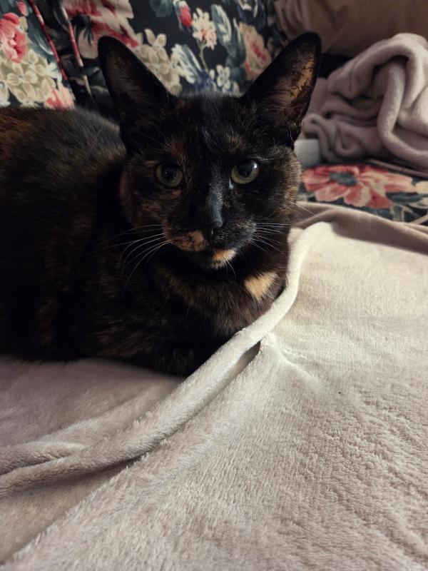 Coco