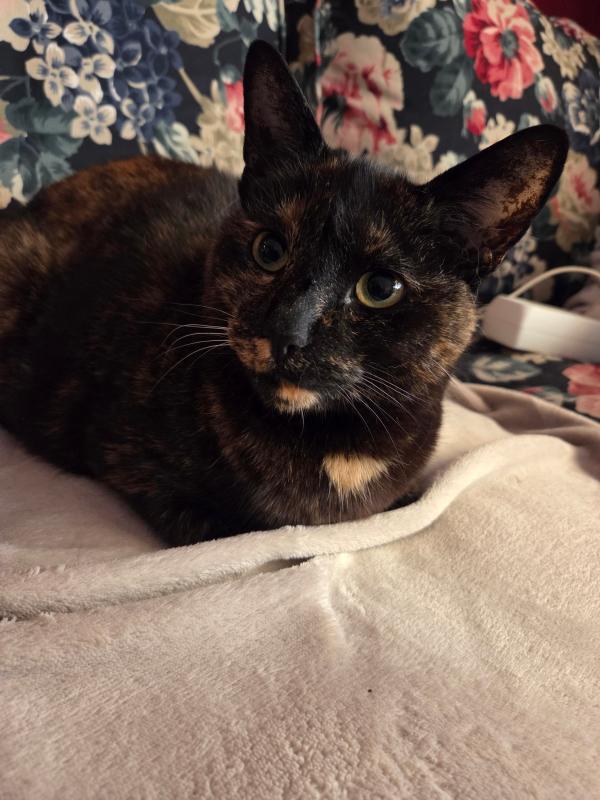 Coco