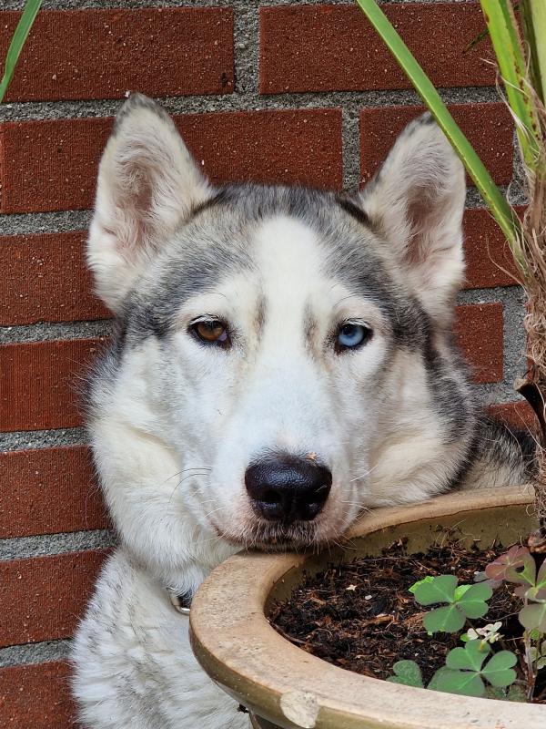 Luna